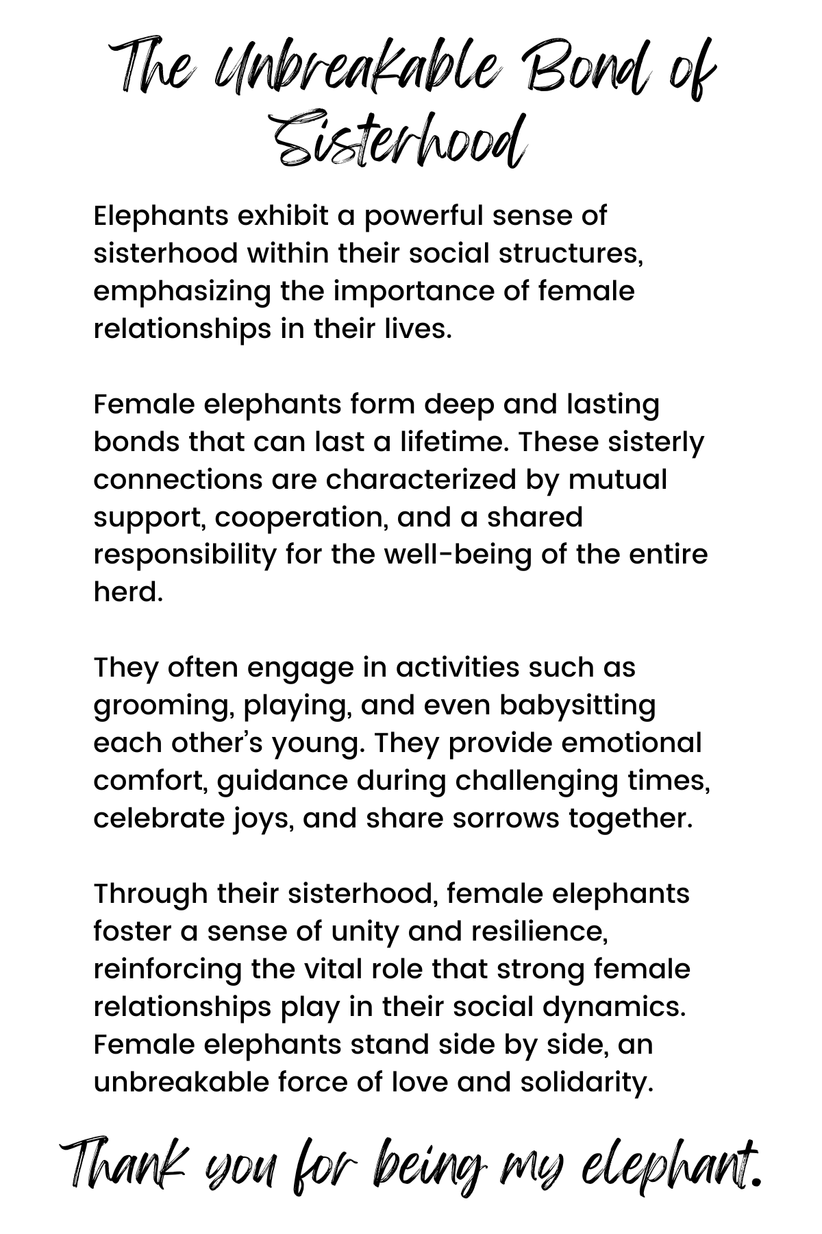 Elephant "The Unbreakable Bond of Sisterhood" Wood Story Ornament & Car Charm
