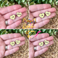Yellow Wood Affirmation Heart Studs: 4 Pairs in One Set