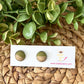 Olive Green Wood & Resin Studs 12mm: Choose Silver or Gold Settings